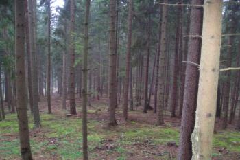 Hrad Hus (© Bohumil Toms, 10/2011)