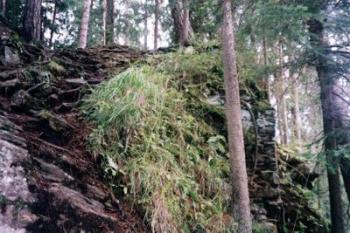 1. Severní čelo jádra (2002 ©Random)