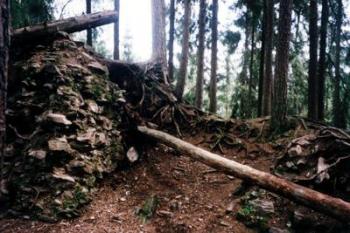 2. Trosky obytné věže (2002 ©Random)