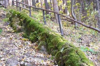val vniklý usazením minerálních látek ( © Jan P. Štěpánek 10/2005)