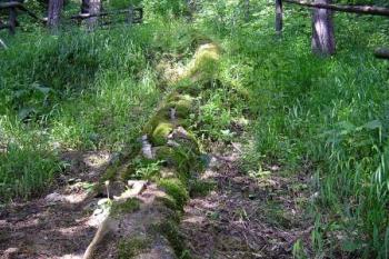 Pohled na Travertinovou kaskádu od spoda ( © Jan P. Štěpánek 06/2007)