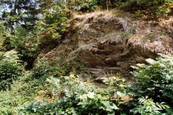 Skalka, nad kterou stávala "Bašta" (pohled z příkopu) (© Jiří Cukr, 07/2003)