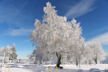 Kozákov (© Josef Filio Šretr, 18.1.2012)