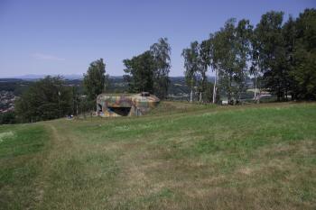  (© Michal Brůža, 07/2011)