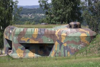  (© Michal Brůža, 07/2011)