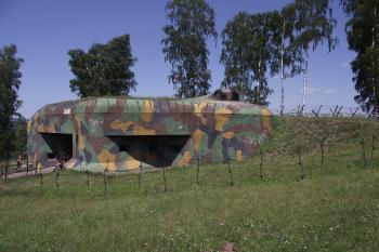  (© Michal Brůža, 07/2011)