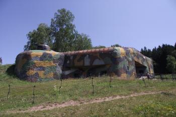  (© Michal Brůža, 07/2011)