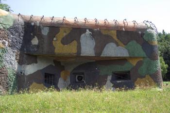  (© Michal Brůža, 07/2011)