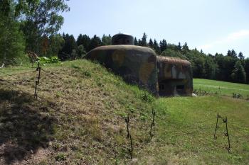  (© Michal Brůža, 07/2011)