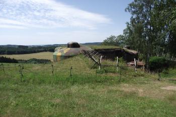  (© Michal Brůža, 07/2011)