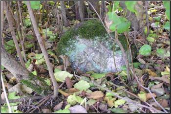 hraneční znak nedaleko ústí mlýnského (hamerského technického) náhodu do řeky Ostravice nad Pržeňským splavem ( © Jan P. Štěpánek 2005)