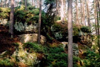 Pískovcové skály (© Radmila Chalupová08/1998)