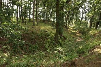  ( © Milan Caha 09/2009)