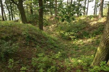  ( © Milan Caha 09/2009)