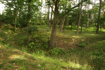  ( © Milan Caha 09/2009)