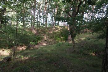  ( © Milan Caha 09/2009)