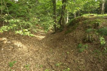  ( © Milan Caha 09/2009)