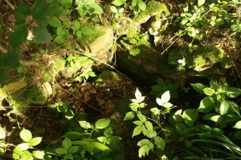 jáma s pozůstatky zdiva (?) ( © Milan Caha 09/2009)