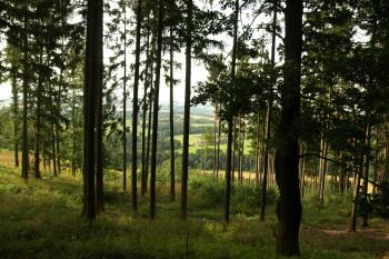  ( © Milan Caha 09/2009)