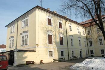 Levá část křídla (© Aleš Marek 01/2006)
