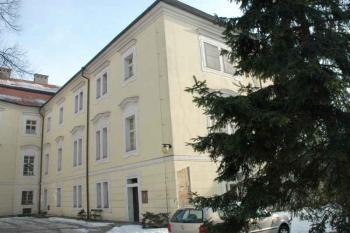 Pravá část křídla (© Aleš Marek 01/2006)