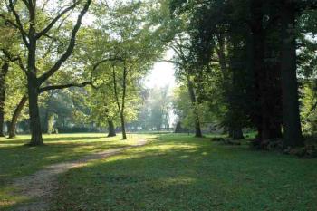 okolní park (© Aleš Marek 01/2006)