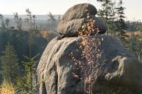 Broumovské stěny - skalní bludiště