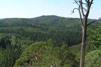 výhled od Čapu (© Daniela Endrštová, 6/2005)