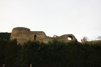  (© Luděk Vláčil, 01/2015)