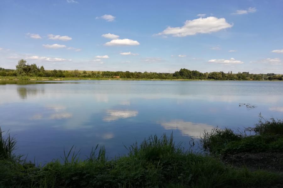 Nedošínský háj a rybník Velký Košíř