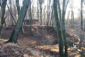 celkový pohled na lokalitu od severu (© D Dohňanský, 12/2015)