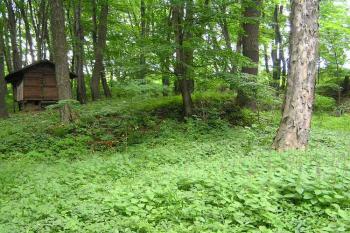 Pohled na hrádek od východu ( © Jan P. Štěpánek 2005)