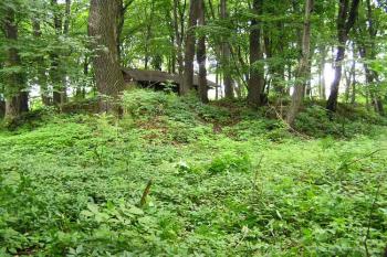 Celkový pohled na jádro lokality od severovýchodu ( © Jan P. Štěpánek 2005)