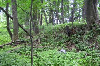 hrana tzv. předhradí ( © Jan P. Štěpánek 2005)