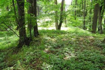 zvýšená plocha tzv. předhradí ( © Jan P. Štěpánek 2005)