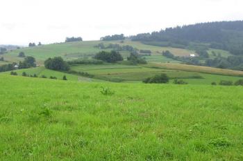 Výhled ze šancí na Kempě č. 1 k Sušanským šancím (© Jan P. Štěpánek 2005)