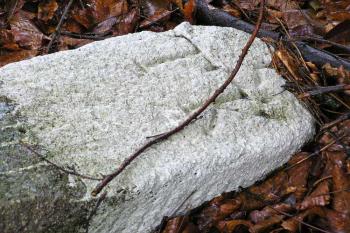 hraniční kámen vyznačující, že území se nacházelo na těšínském panství (© Jan P. Štěpánek 2005)