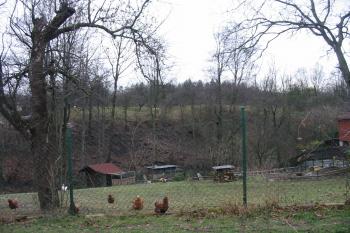 pohled na prosvítající lokalitu  hrádku a na její východní sráz (© D Dohňanský, 12/2015)