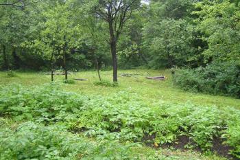 Střední část jádra lokality s výběžkem nad řeku Olši (© Jan P. Štěpánek 2005)