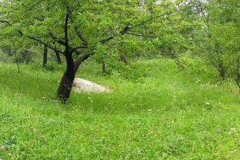 Panorama plochy jádra lokality od jihovýchodu (© Jan P. Štěpánek 2005)
