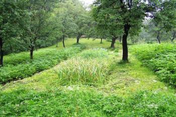 Pohled od jihu, z čela hrádku, na severní část jádra (© Jan P. Štěpánek 2005)