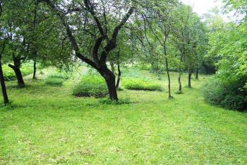 Pohled ze severní části jádra na jižní, mírně zvýšenou část (© Jan P. Štěpánek 2005)