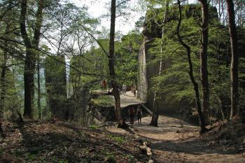 Drábské světničky zpoza stromů (© Václav Kubeš, 09/2009)
