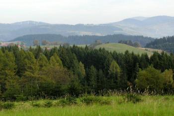Celkový pohled na Hrčavu z lokality Bařiny (© Jan P. Štěpánek 2005)