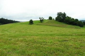 POhled na pahorek s někdejšími šancemi od severovýchodu (© Jan P. Štěpánek 2005)