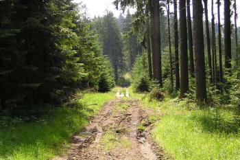 Pohled od severu na vrcholek výběžku (© Jan P. Štěpánek 2005)