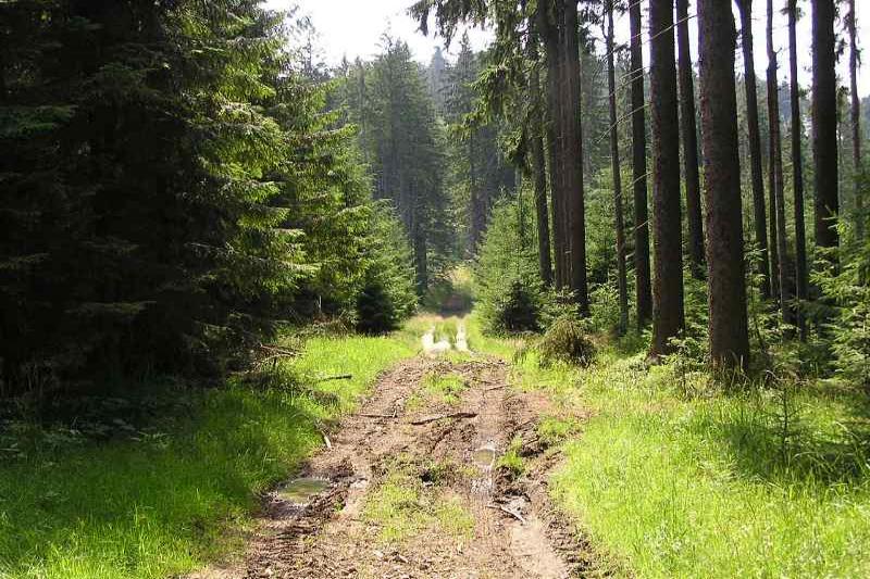 šance na Obidové