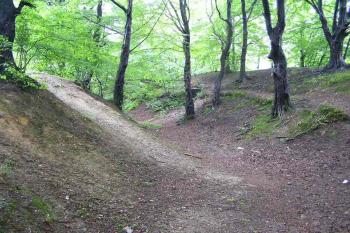 Mohutný šíjový příkop a vyhozený val (vpravo) (© Jan P. Štěpánek 2005)