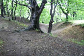 Západní část příkopu (© Jan P. Štěpánek 2005)