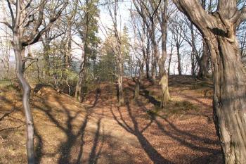 Pohled na mohutný val a příkop (© Miroslav BITTER 2005)
